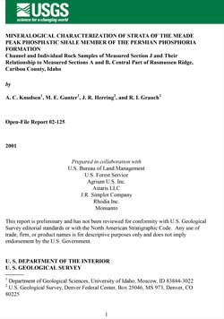 Thumbnail of and link to report PDF (516 kB)
