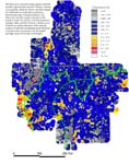 map, elemental concentration of phosphorus, analyzed via ICP-40