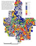 map, elemental concentration of zinc, analyzed via ICP-Partial