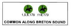 Common along Breton Sound: diving birds (1, 5, 8, 179), diving birds(118, 173).