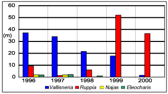 Chart showing relative abundance of SAV species.
