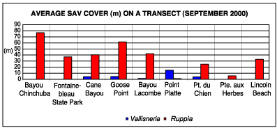 Chart showing distribution of submersed aquatic vegetation (SAV) in 2000.