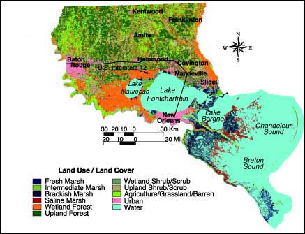 Map showing land cover data for Louisiana.