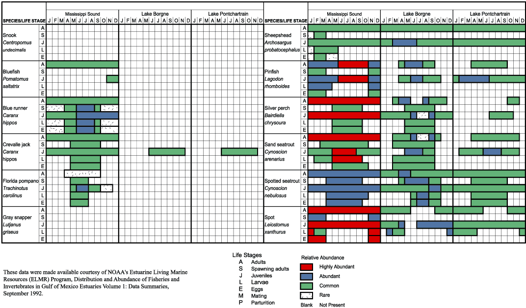 Graph showing the temporal distribution of ELMR species.