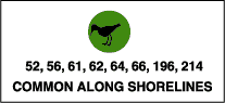 Common along shorelines: shorebirds (52,56,62,64,66,196,214)