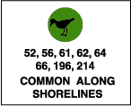Common along shorelines: shorebirds (52, 56, 61, 62, 64, 66, 196, 214).