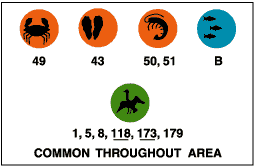 Common throughout area: crabs (49), oysters/clams (43), shrimp/crayfish (50,51), marine fish (B), diving birds(1, 5, 8, 118, 173, 179).