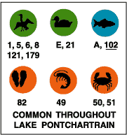 Common throughout Lake Pontchartrain: diving birds (1, 5, 6, 8, 121, 179), water fowl (E, 21), freshwater fish (A, 102),  oysters/clams (82), shrimp/crayfish (49), crabs (50, 51).