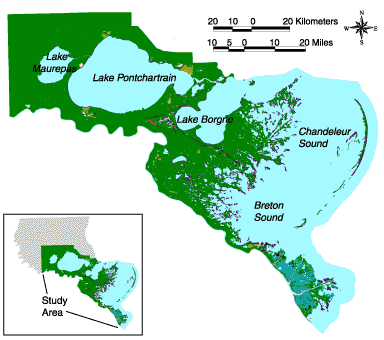 Lake Pontchartrain Basin Land Loss - Process Classification