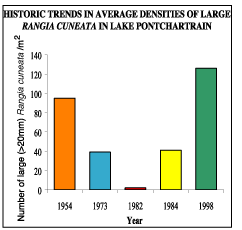 Historic average densities of large Rangia Cuneata in Lake Pontchartrain.