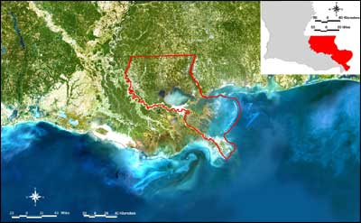 Satellite composition image of northern Gulf of Mexico (1998). Image courtesy of M-SAT.