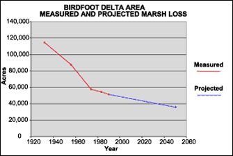 Graph showing Birdfoot Delta Area measured and projected masrsh loss.