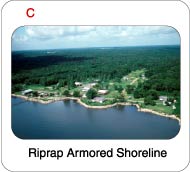 Picture of riprap armored shoreline.