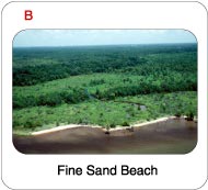 Picture of a fine sand beach on the north shore of Lake Pontchartrain.
