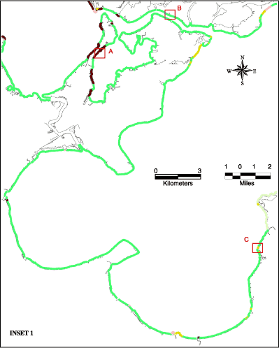 Map showing shoreline types of Pass manchac.