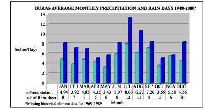Graph showing the average monthly precipitation and number of rain days for the Buras area for the years 1948-2000*.