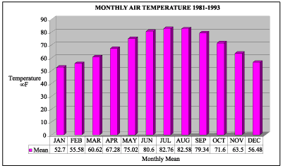 Graph showing the monthly air temperature at Data Buoy 42007 for 1981-1993.