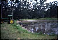 Picture of a dairy waste retention pond.