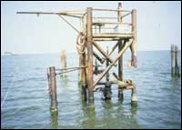 Picture of abandoned structure.