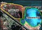Sattelite image of LaBranche wetlands marsh creation project (CWPPRA).
