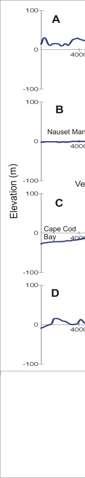 Figure 10. A) Nauset Beach--high . B) Coast Guard Beach--moderate. C) Cahoon Hollow Beach--very low . D) Great Island--very high.