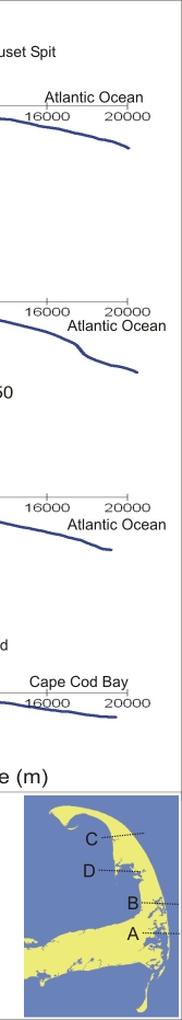 Figure 10. A) Nauset Beach--high . B) Coast Guard Beach--moderate. C) Cahoon Hollow Beach--very low . D) Great Island--very high.