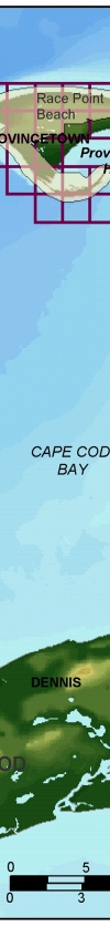 Figure 2. Shoreline grid for CACO.