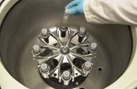 Place samples in centrifuge; link to larger image