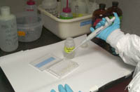 Acidifying samples; link to larger image