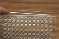Capsules open in tray; link to larger image