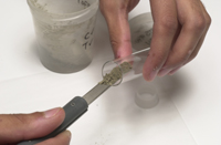 Sediment into vial with small spatula