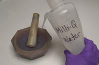 Rinse with Mill-Q water