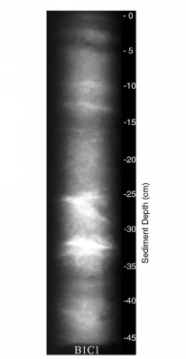 Image of Core B1C1.