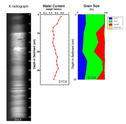 Image of Core D1C4.