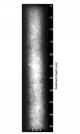 Image of Core F1C4.