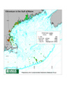 Chromium in the Gulf of Maine