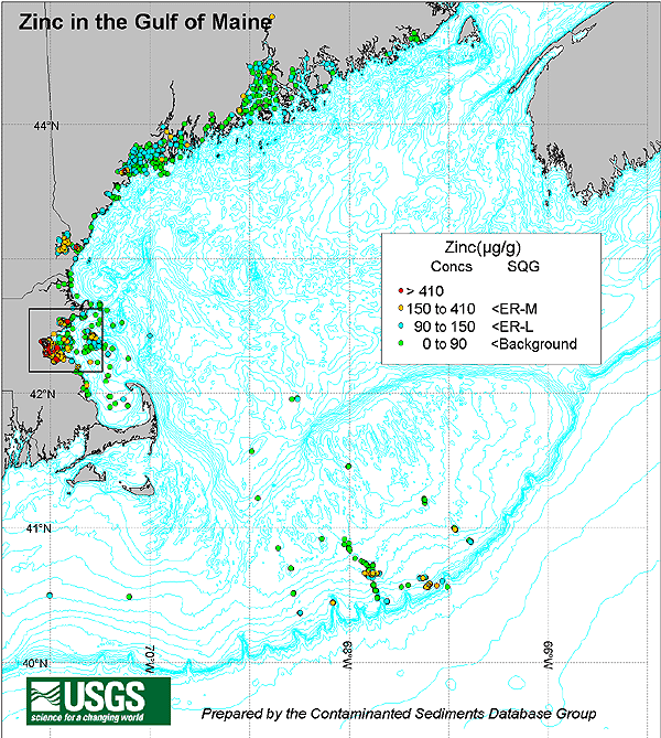 Zinc in the Gulf of Maine