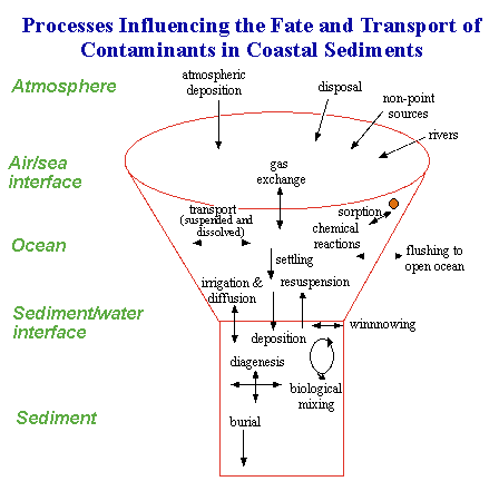 Figure 4. Processes Influencing the Fate and Transport of Contaminants in Coastal Sediments
