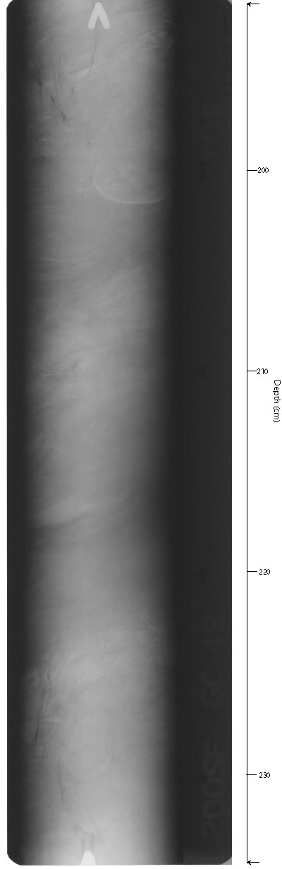 X-ray of GC-4Bsec6.