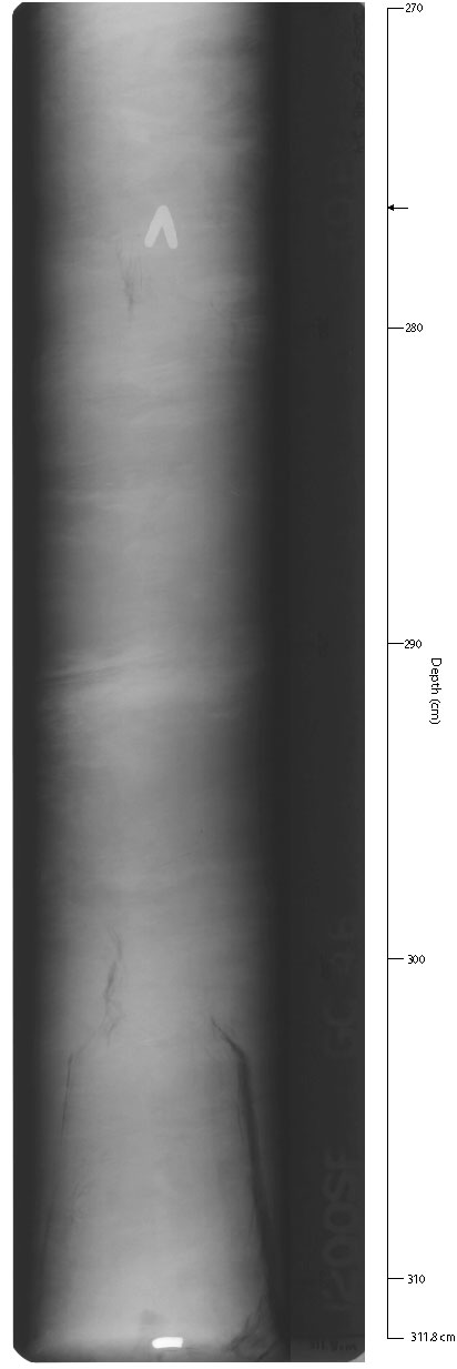 X-ray of GC-4Bsec8.