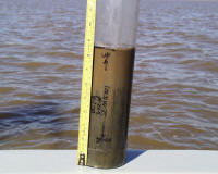Example of a gravity liner sub-sample taken from a boxcore