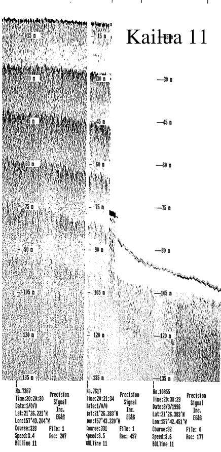 Subbottom profile showing seafloor and subsurface sediment detail and features