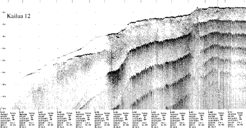 Subbottom profile showing seafloor and subsurface sediment detail and features