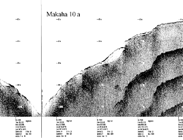 Subbottom profile showing seafloor and subsurface sediment detail and features