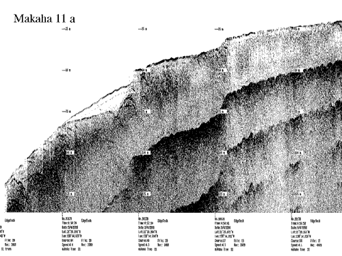 Subbottom profile showing seafloor and subsurface sediment detail and features