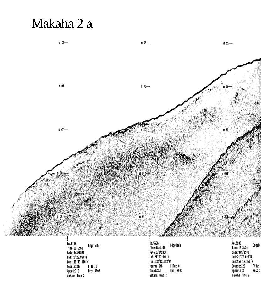 Subbottom profile showing seafloor and subsurface sediment detail and features