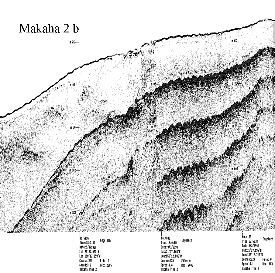 Subbottom profile showing seafloor and subsurface sediment detail and features