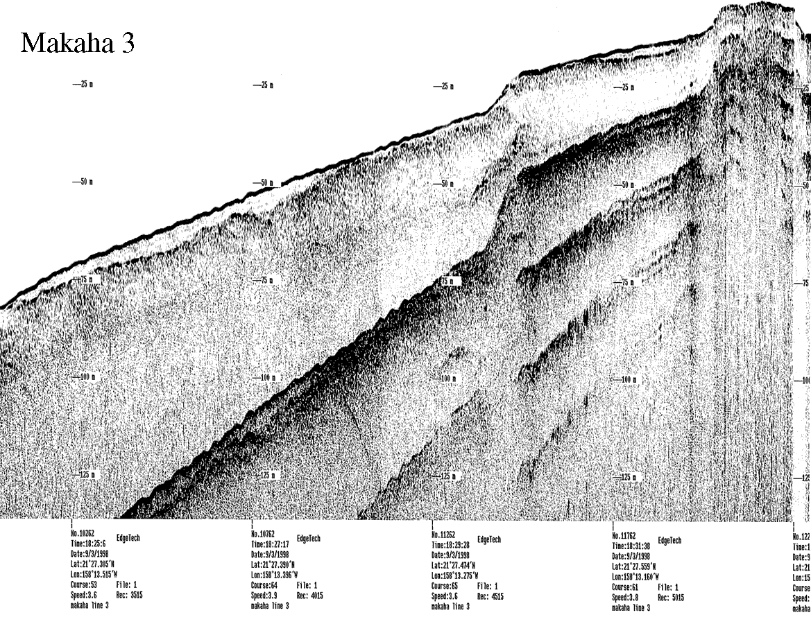 Subbottom profile showing seafloor and subsurface sediment detail and features