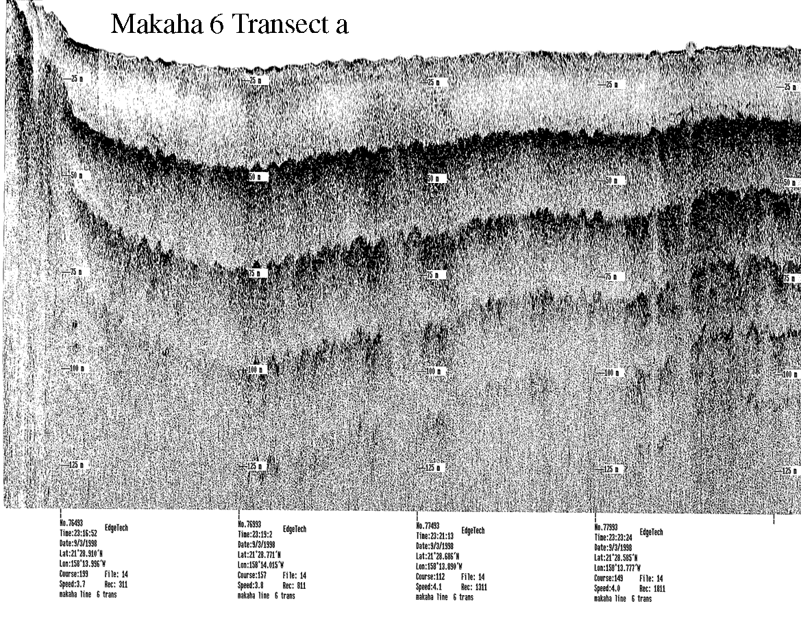 Subbottom profile showing seafloor and subsurface sediment detail and features