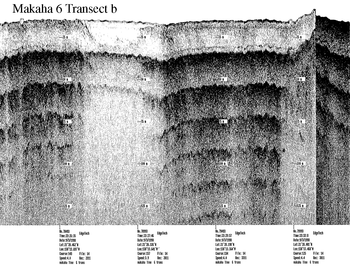 Subbottom profile showing seafloor and subsurface sediment detail and features